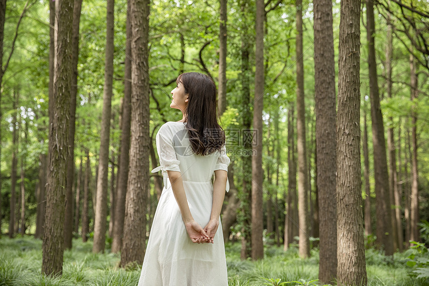 青年女性森林散步图片