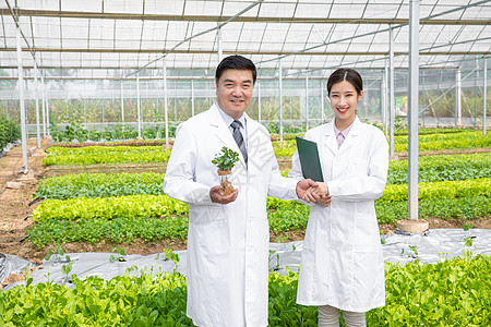 中草药种植基地大棚内手捧植物幼苗的农业培育科学家背景