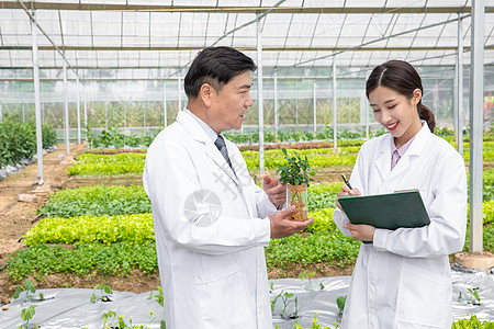 手捧科技大棚内手捧植物幼苗的农业培育科学家背景