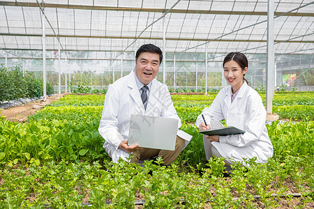 蔬菜大棚内科研探讨的农业培育科学家图片