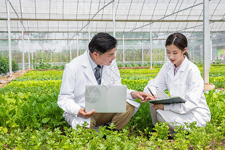 蔬菜大棚内科研探讨的农业培育科学家图片