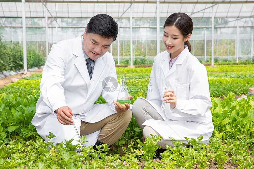 手拿药剂试验的农业科学家图片