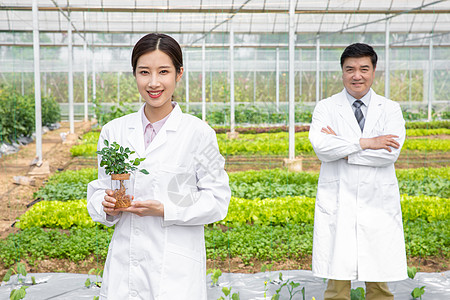 大棚内手捧植物幼苗的农业培育科学家背景图片