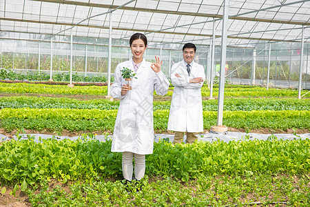 手捧植物的农业科研人员ok手势图片