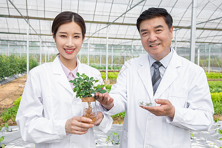 大棚内手捧植物幼苗的农业培育科学家背景图片