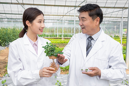 大棚内手捧植物幼苗的农业培育科学家背景图片