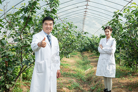 大棚内观察果树的农业培育科学家点赞图片