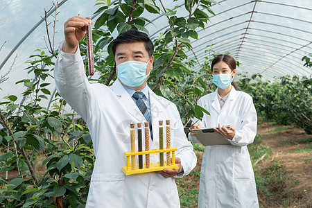 手捧科技手捧种子试管的农业培育科学家背景