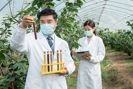 手捧科技手捧种子试管的农业培育科学家背景