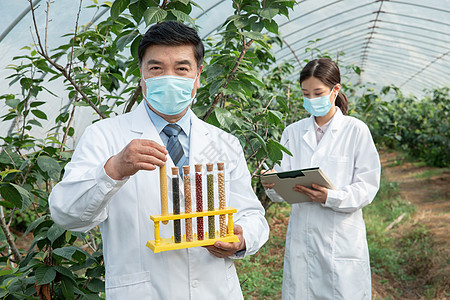 手捧科技手捧种子试管的农业培育科学家背景