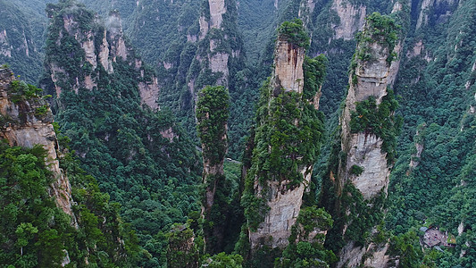 烟雨张家界张家界武陵源峰林背景