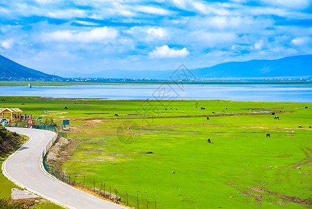 云南香格里拉香格里拉纳帕海风景区背景