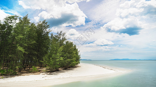 泰国海滨红树林白沙滩图片