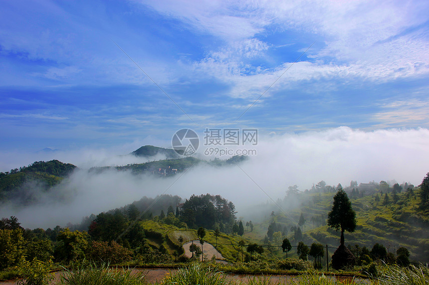 永嘉茗岙梯田图片