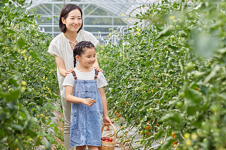 小女孩奔跑小女孩和妈妈菜园采摘蔬菜背景