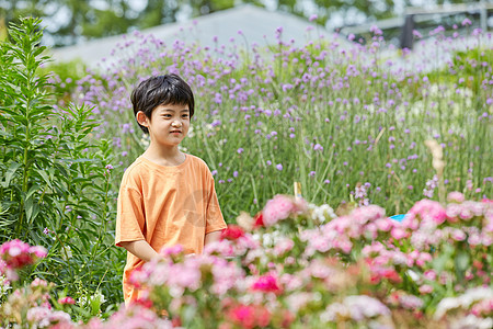 小男孩花园捕捉蝴蝶背景图片