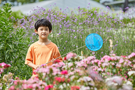 花园玩耍小男孩花园里捉蝴蝶背景