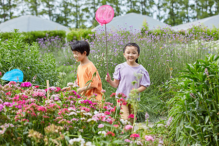 儿童在花丛中捕捉蝴蝶高清图片