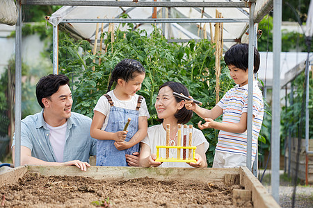 一家四口在菜园研究种子图片