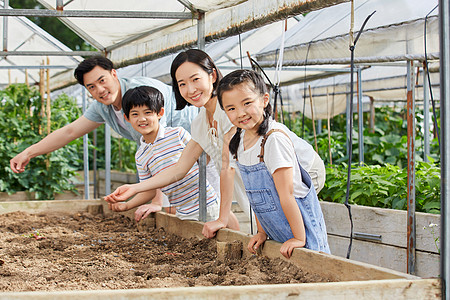 一家四口在菜园播种图片