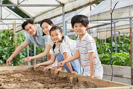 一家四口在菜园播种高清图片