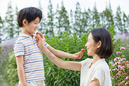 小孩男孩和妈妈试吃圣女果高清图片