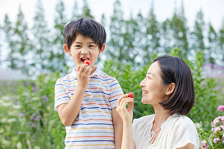 小孩男孩和妈妈试吃圣女果高清图片