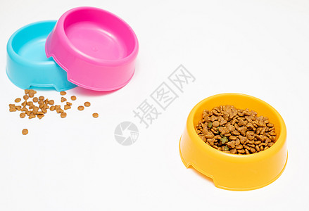 黄色碗与猫宠物用品与宠物食品背景