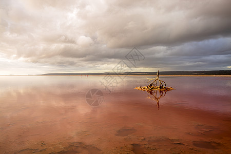 澳大利亚珀斯粉红湖美丽风光背景
