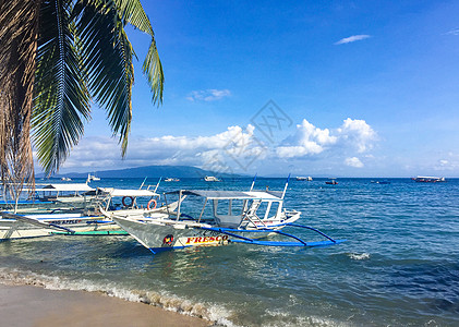 夏日海滩菲律宾海豚湾风光背景