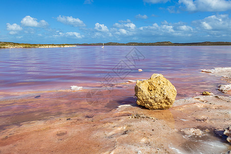 广角特写澳大利亚珀斯粉红湖美丽风光背景