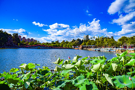 大暑之城市风光昆明市大观公园背景