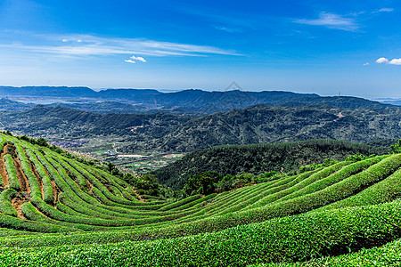 福州网红长龙茶山高清图片