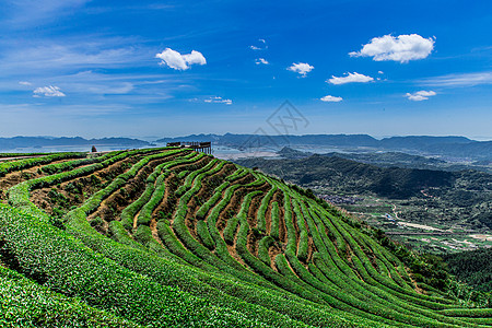福州网红长龙茶山高清图片