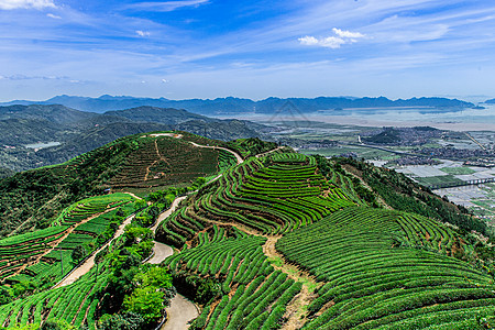 福建长龙茶山高清图片