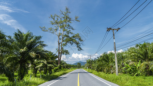热带丛林中的旅行道路背景图片