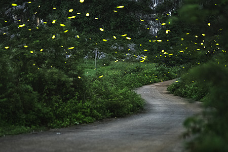 行走在路上海报乡间小路上的萤火虫背景