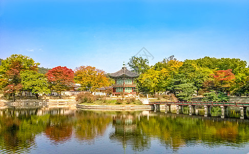 韩国风景首尔景福宫秋景背景