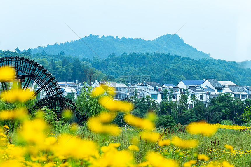新农村