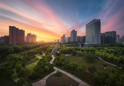 城市园林天际线背景图片