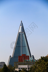 饭店点餐柳京饭店背景