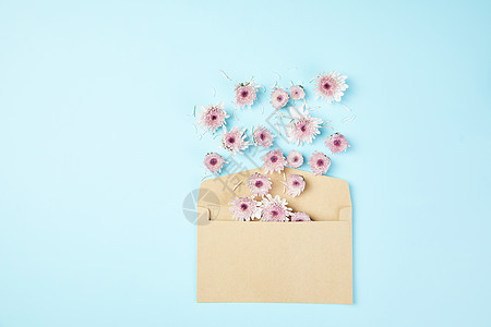信封里面的小雏菊图片