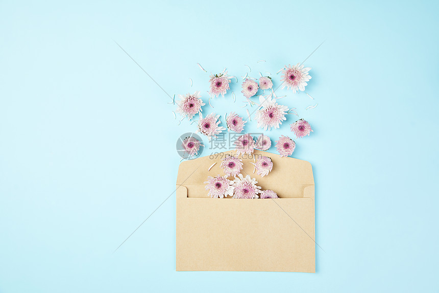 信封里面的小雏菊图片