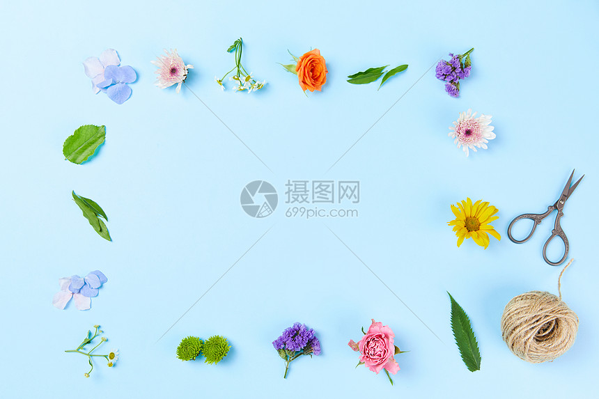 色彩静物花朵图片