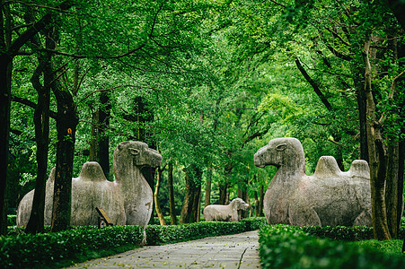 南京颐和路南京明孝陵石像路背景