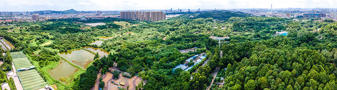 全景航拍广州长隆野生动物园背景