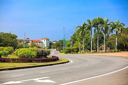 马来西亚沙巴大学校园道路图片