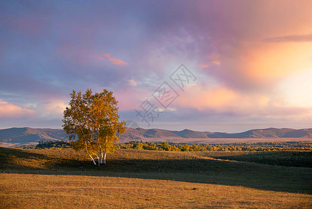 乌兰布统风景内蒙坝上金秋晚霞背景