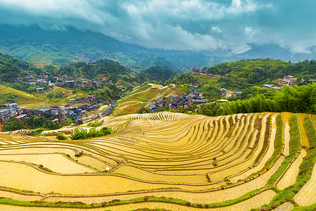 广西梯田广西桂林龙胜梯田背景