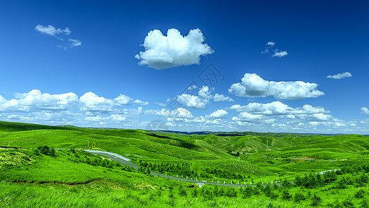 草地和山内蒙古草原夏季风光背景